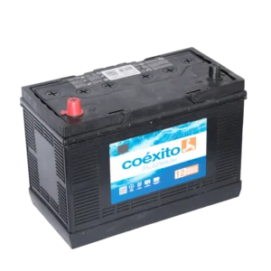 Batería Coexito Platinum.